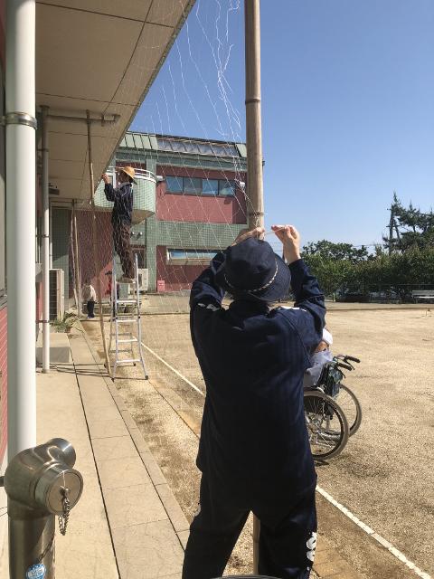 Ｍａｙ　今年も･･･緑のカーテンやりま