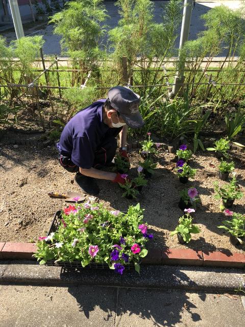 Ｊｕｌｙ　花だん