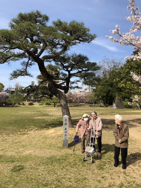 4・2019　花見　2班