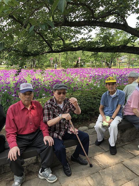 6・2019 　花菖蒲見物一班　