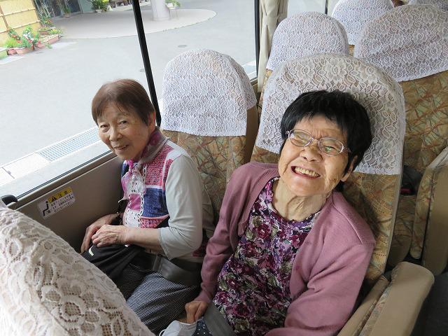 6・2019  あじさい見物