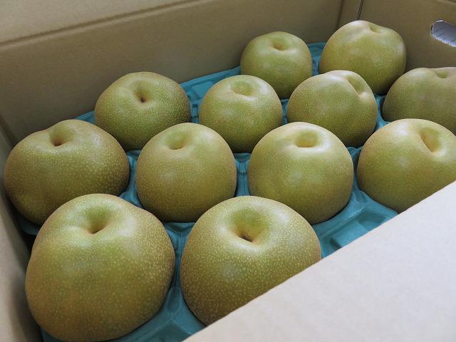 9・2020   いさはや梨