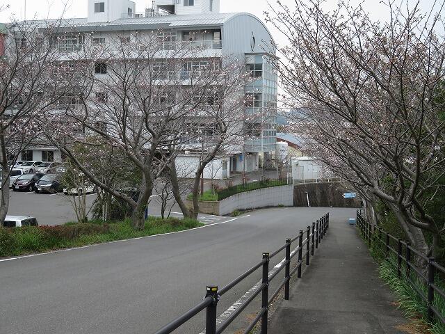 3・2021　春が来ました