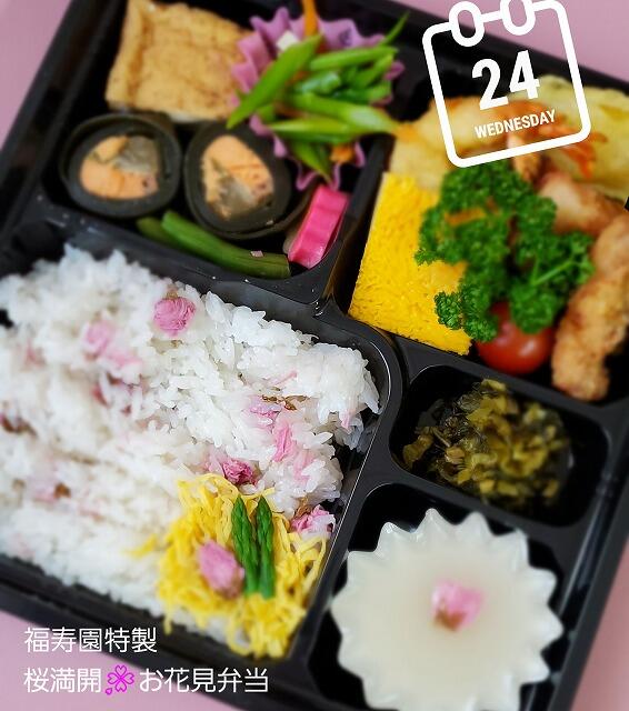 3・2021   お花見弁当～桜～
