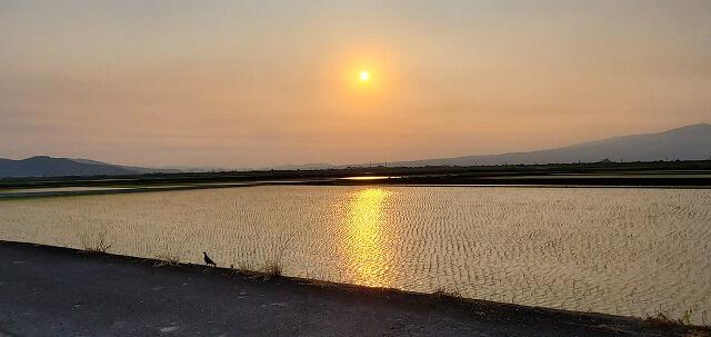 6・2021　ワクチン接種の日(*'ω'*)
