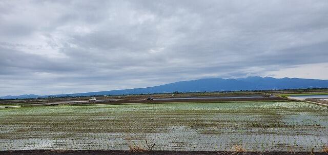 6・2021　ワクチン接種の日(*'ω'*)