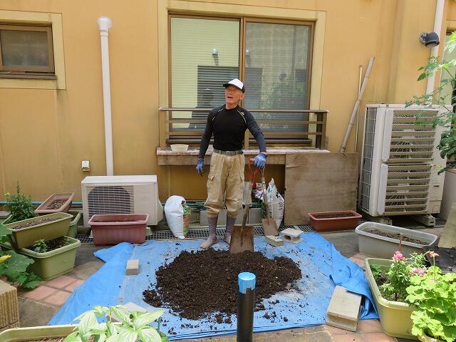 6・2021　中庭野菜の日(*'ω'*)