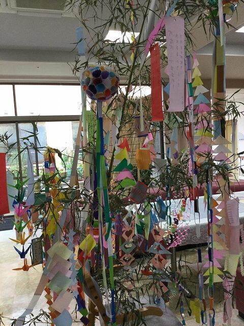 7・2021　コロナウイルス発生時の食事シュミレーション 3