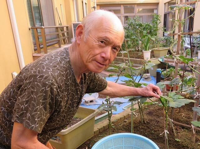 10・2021   中庭菜園(*'ω'*)収穫！