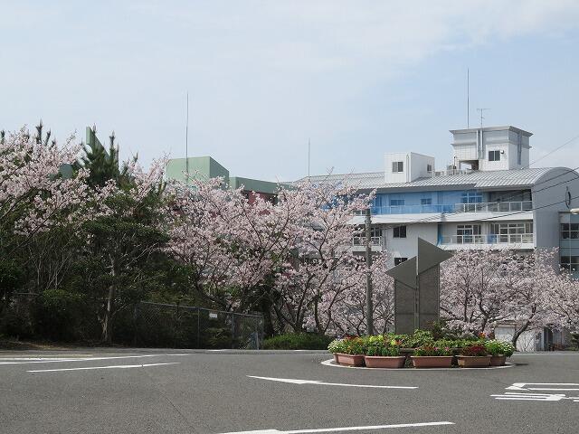 10・2022　お散歩日和(*'ω'*)でした