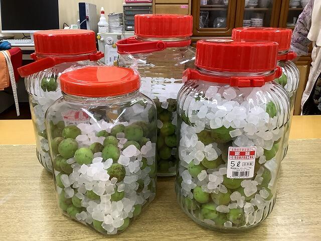 5・2023　梅ジュースは超うめ～(*'ω'*)