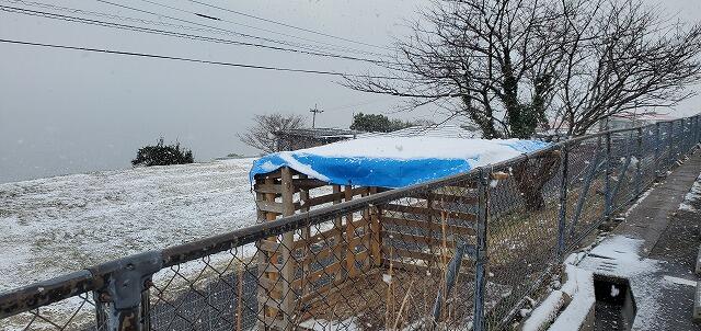 12・2023　雪化粧＆ゆず湯(*'ω'*)