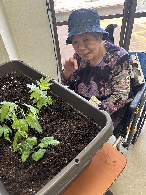 5・2025　園芸クラブ(*'ω'*)