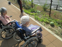 IMG_2868.JPG