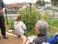 IMG_3806.JPG