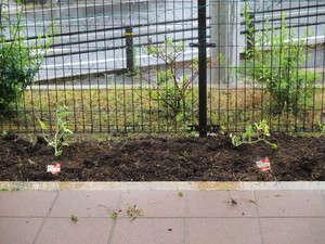 IMG_3979.JPG
