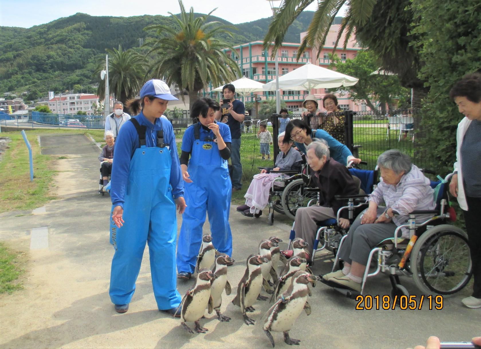 ペンギン水族館見物 パート１