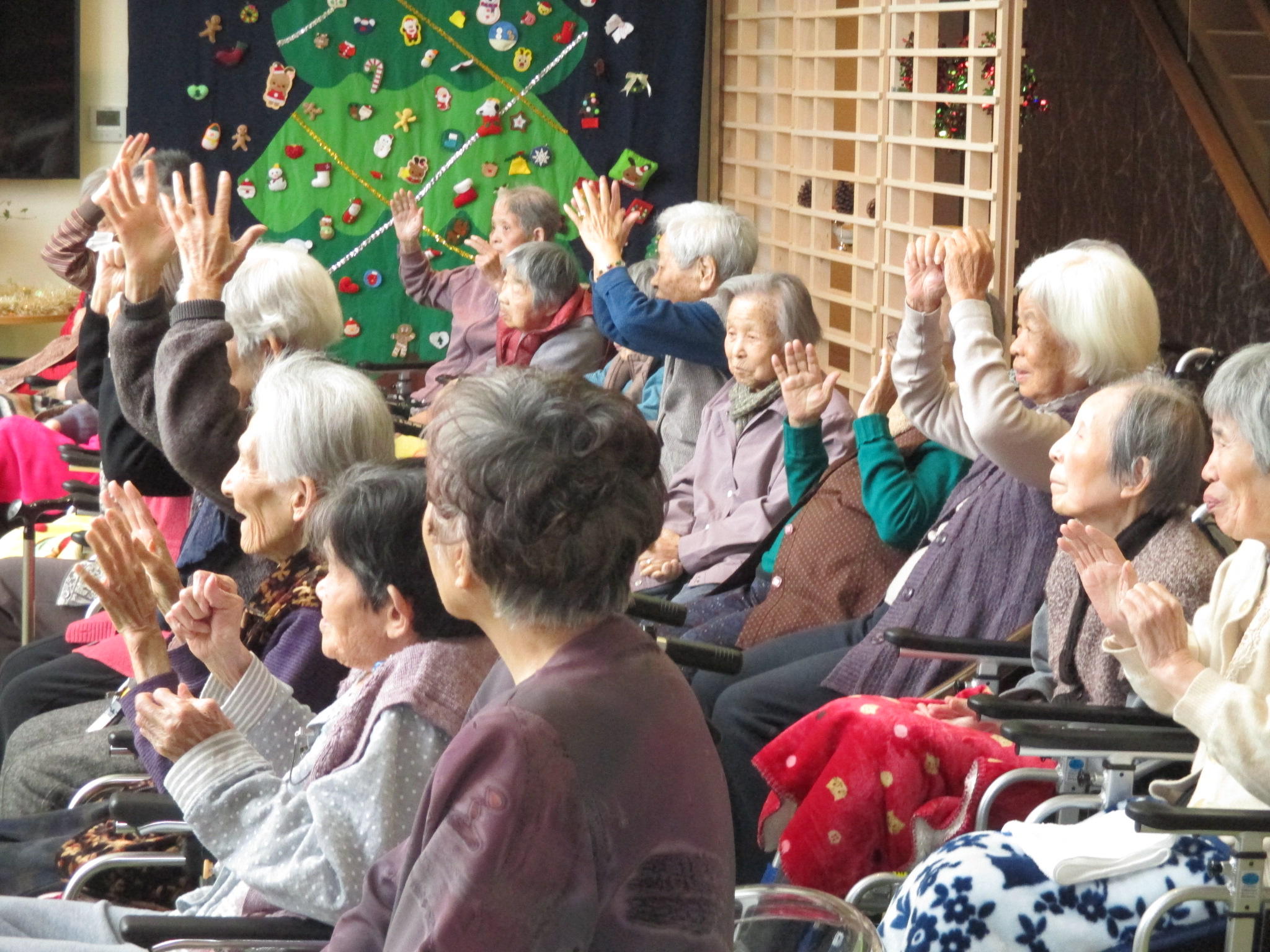 ドコノコ　キノコ