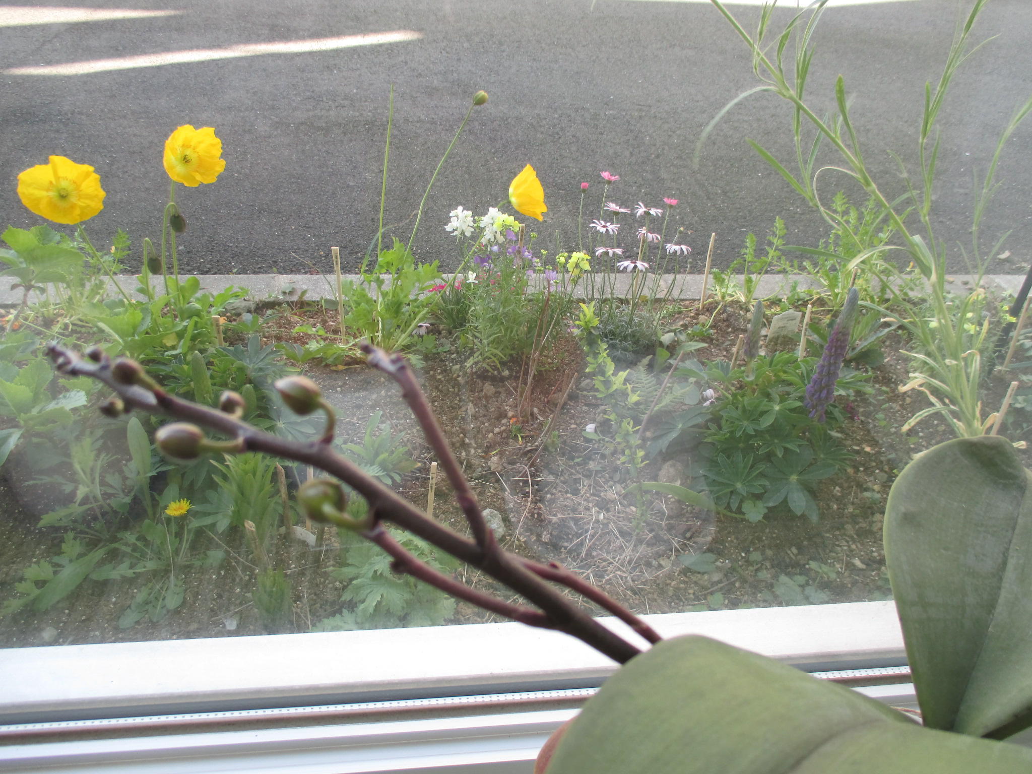 ３月　Ｎ（和み）カフェ