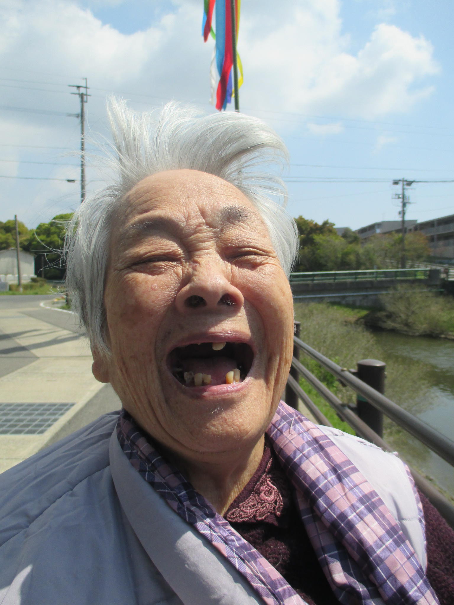 つつじと、こいのぼり(*^_^*)