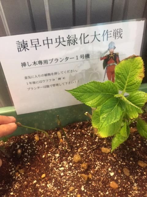 残念！！！！！