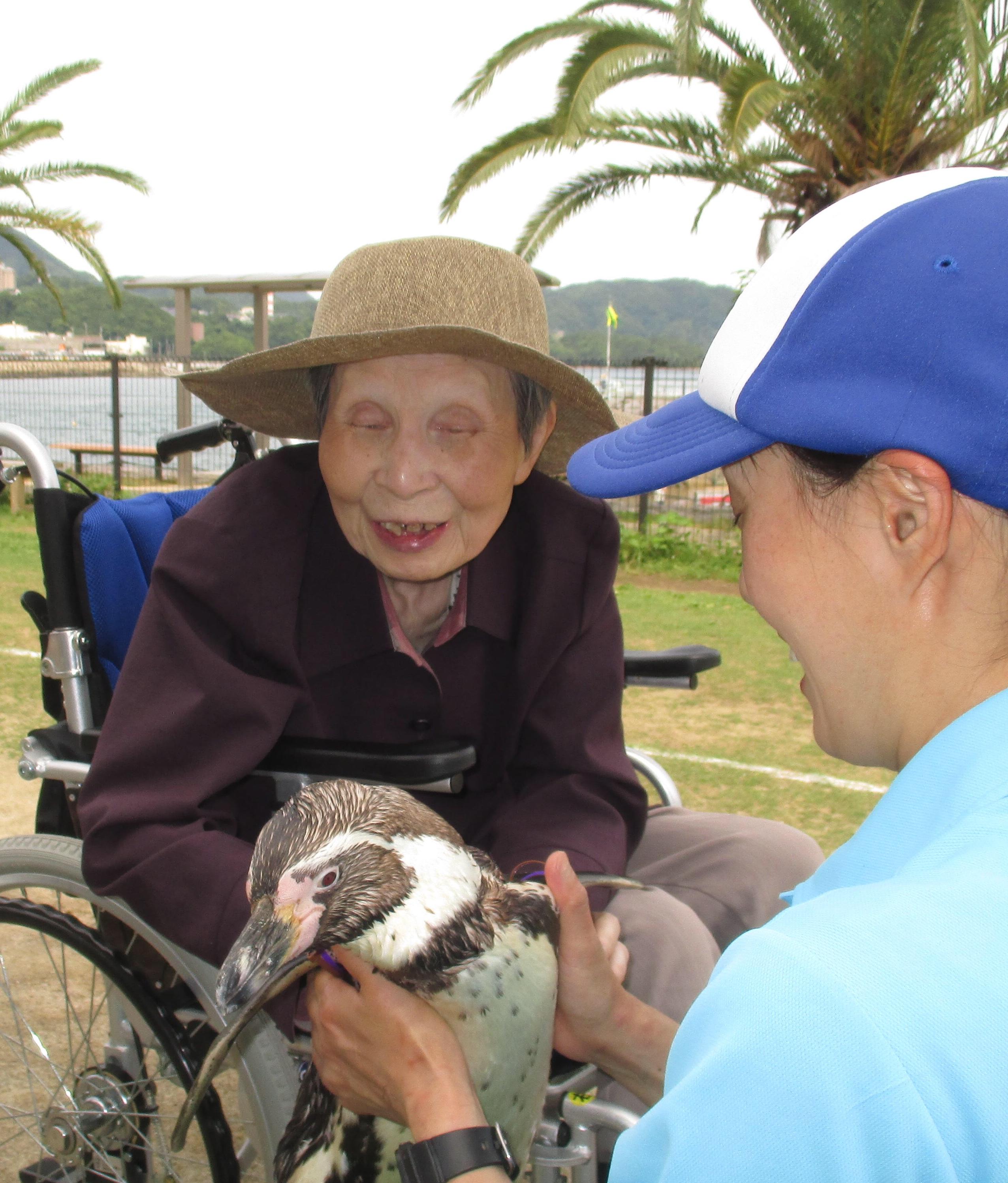 ペンギンとのふれあい