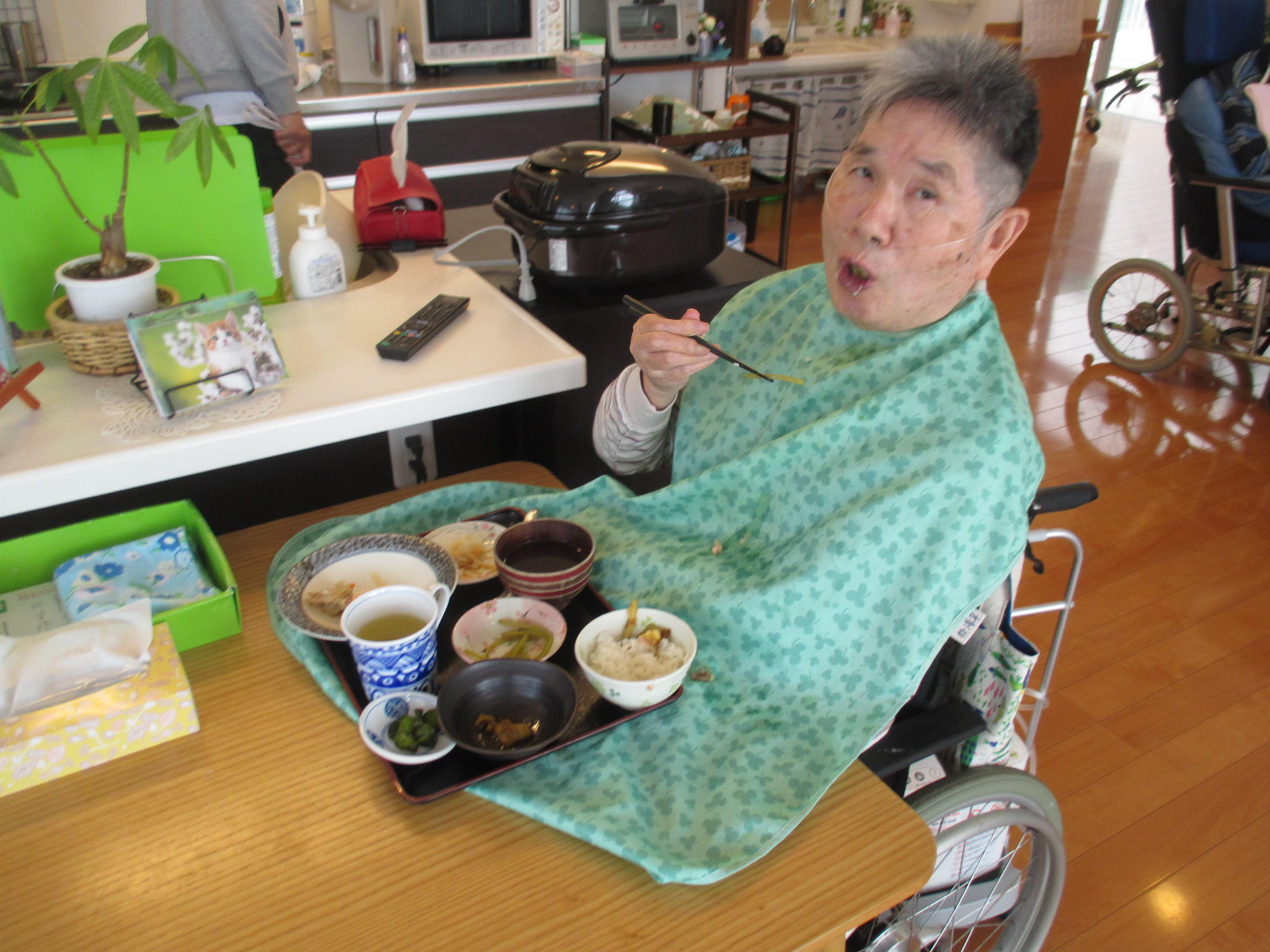 春の山菜　～つわ～①