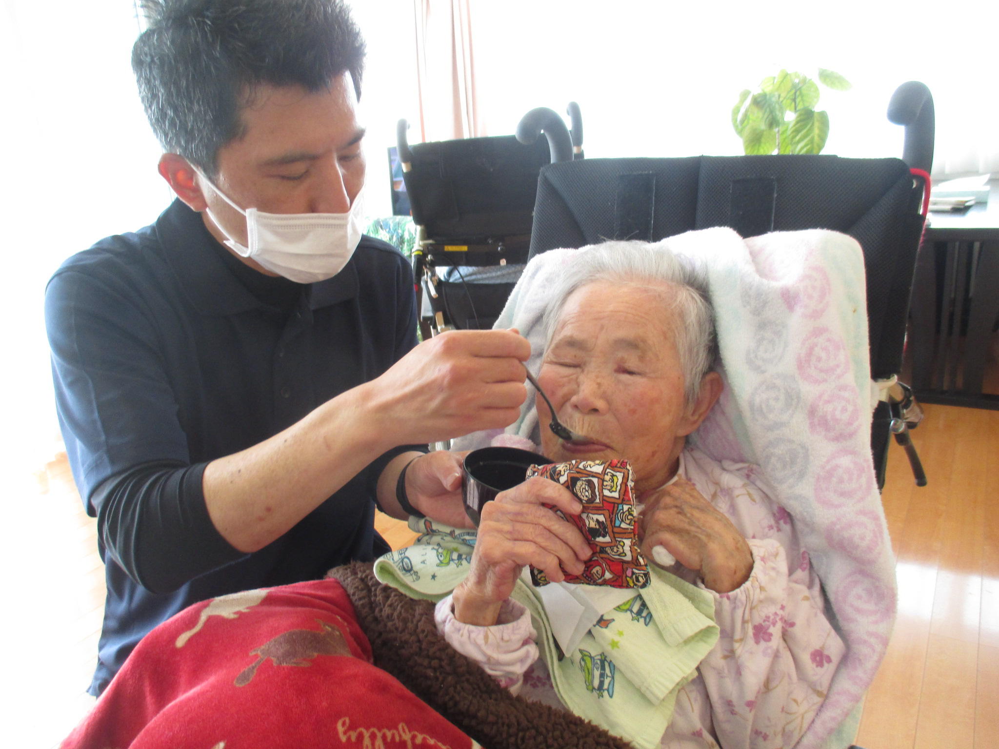 春の山菜　～つわ②～