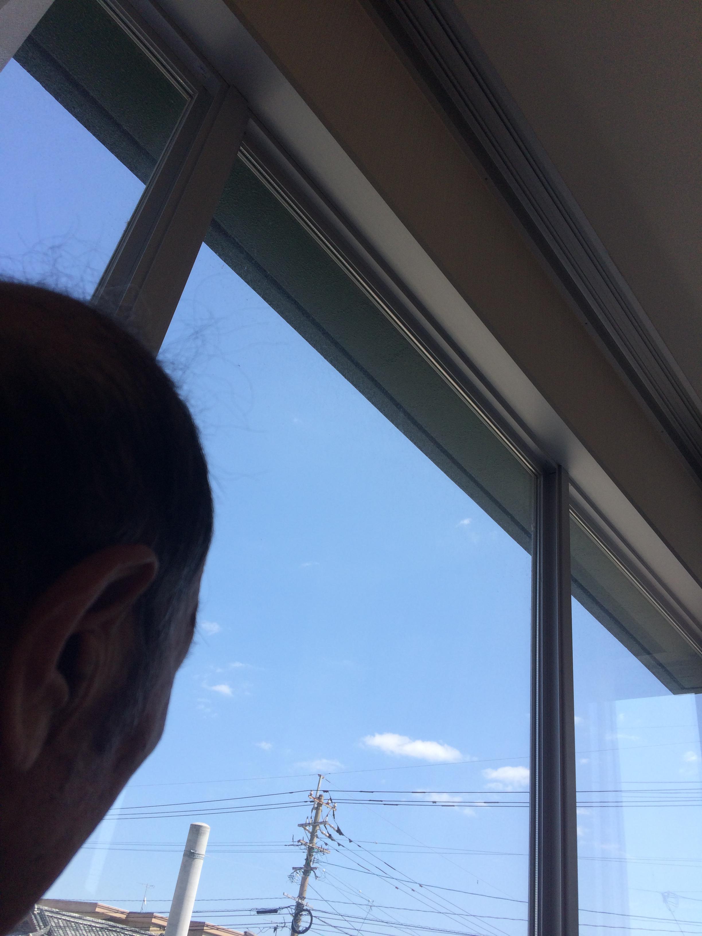 ある日のすずらん～窓際からの青空～