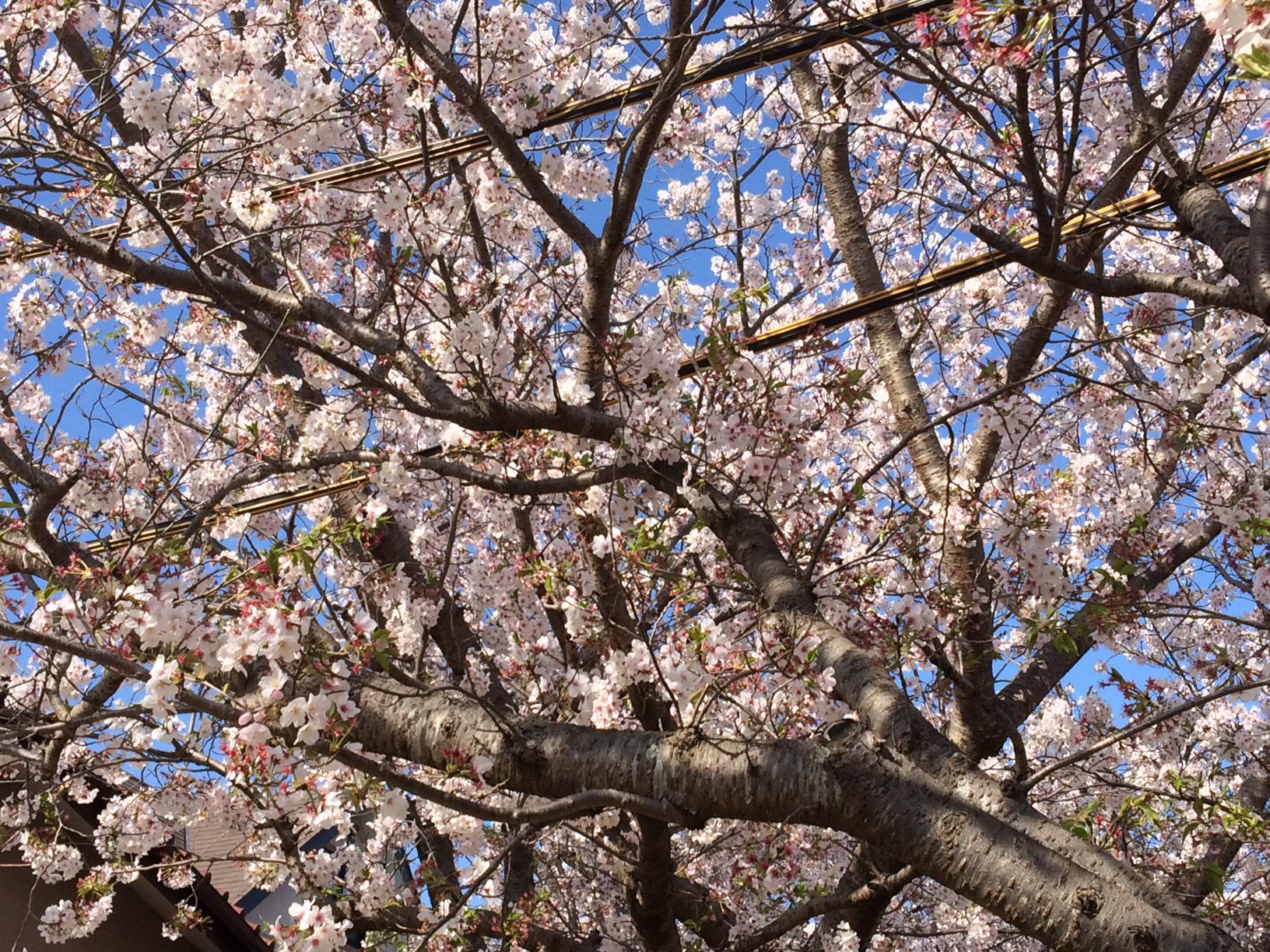 日常のありがたさ