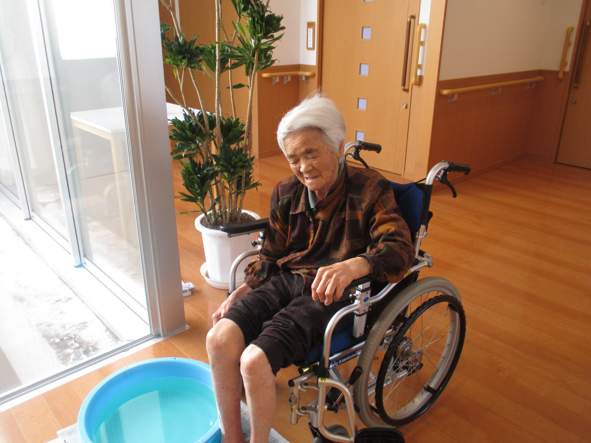 心地よい日差しの中で