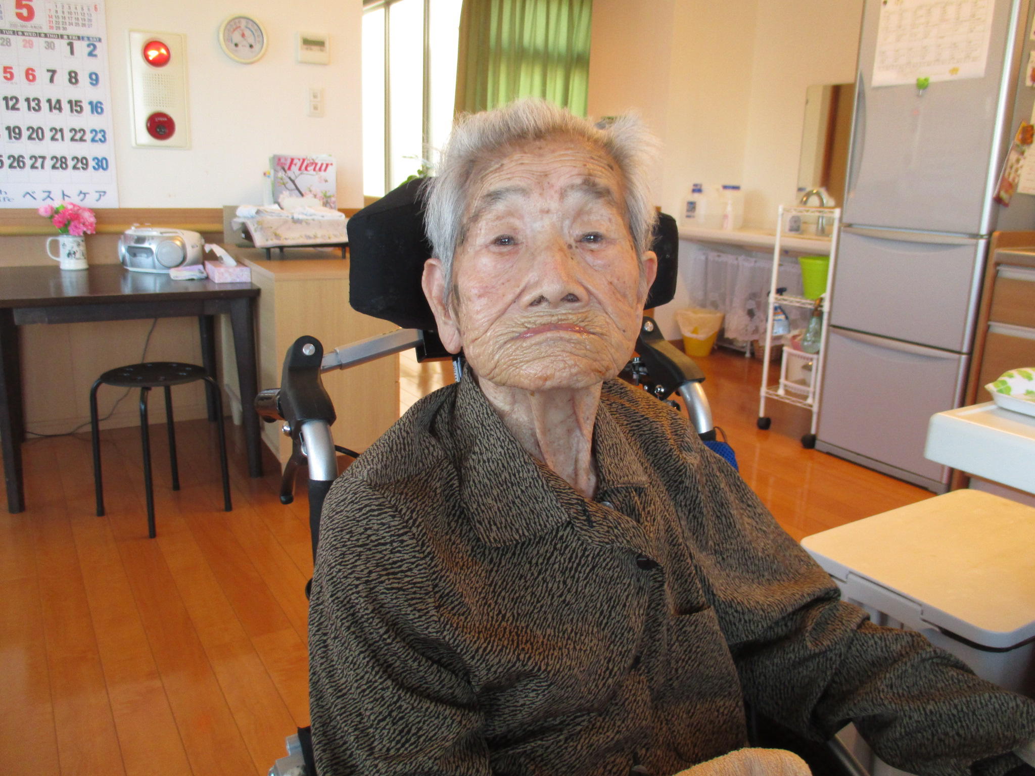 最近のたんぽぽ