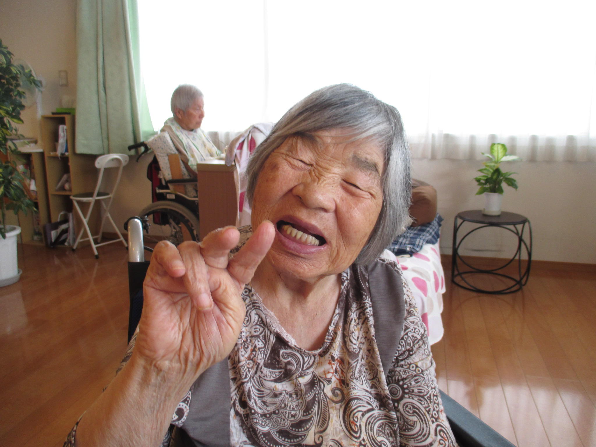 今日のたんぽぽ(*^_^*)