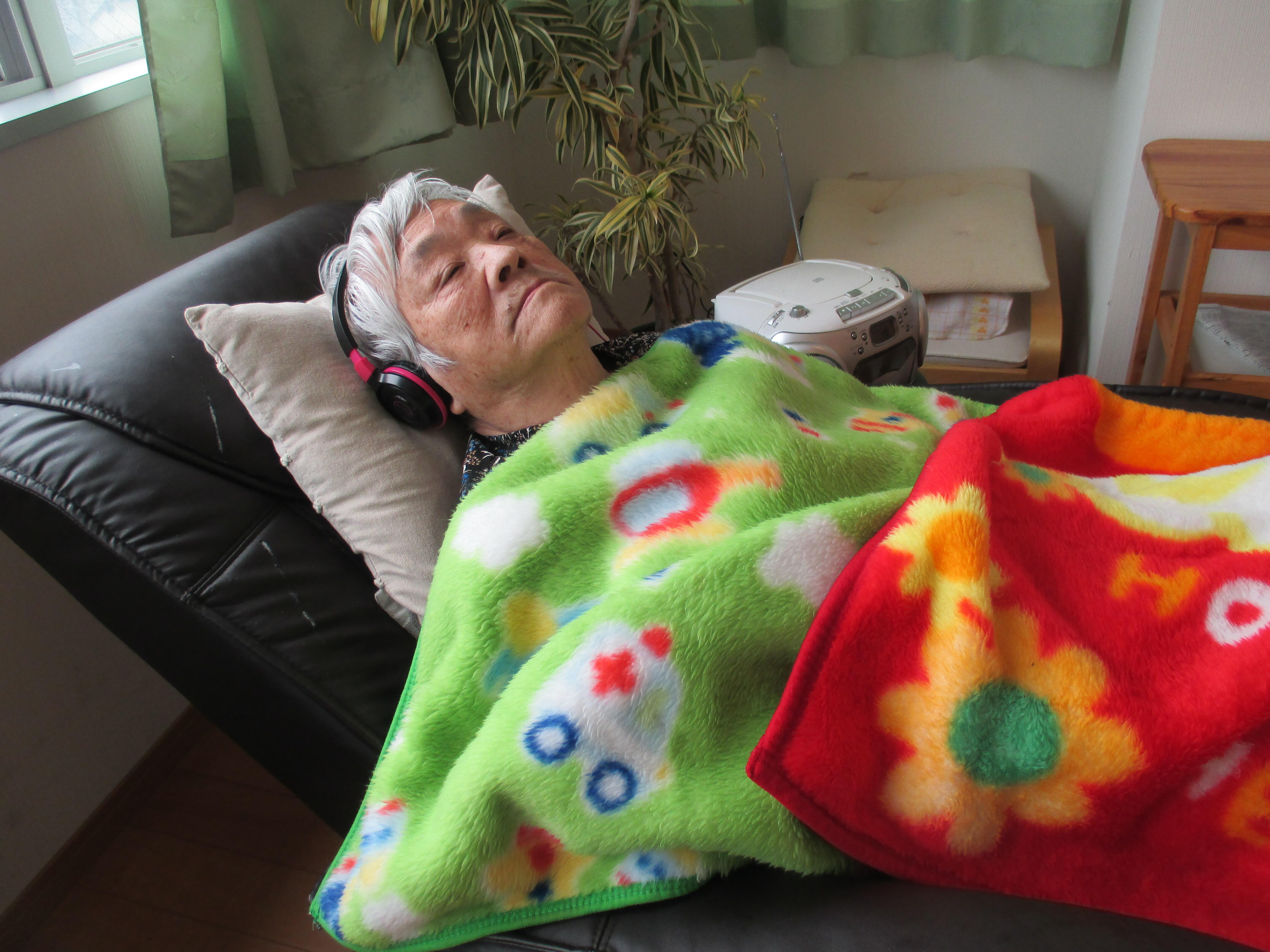 今日のたんぽぽ(*^_^*)