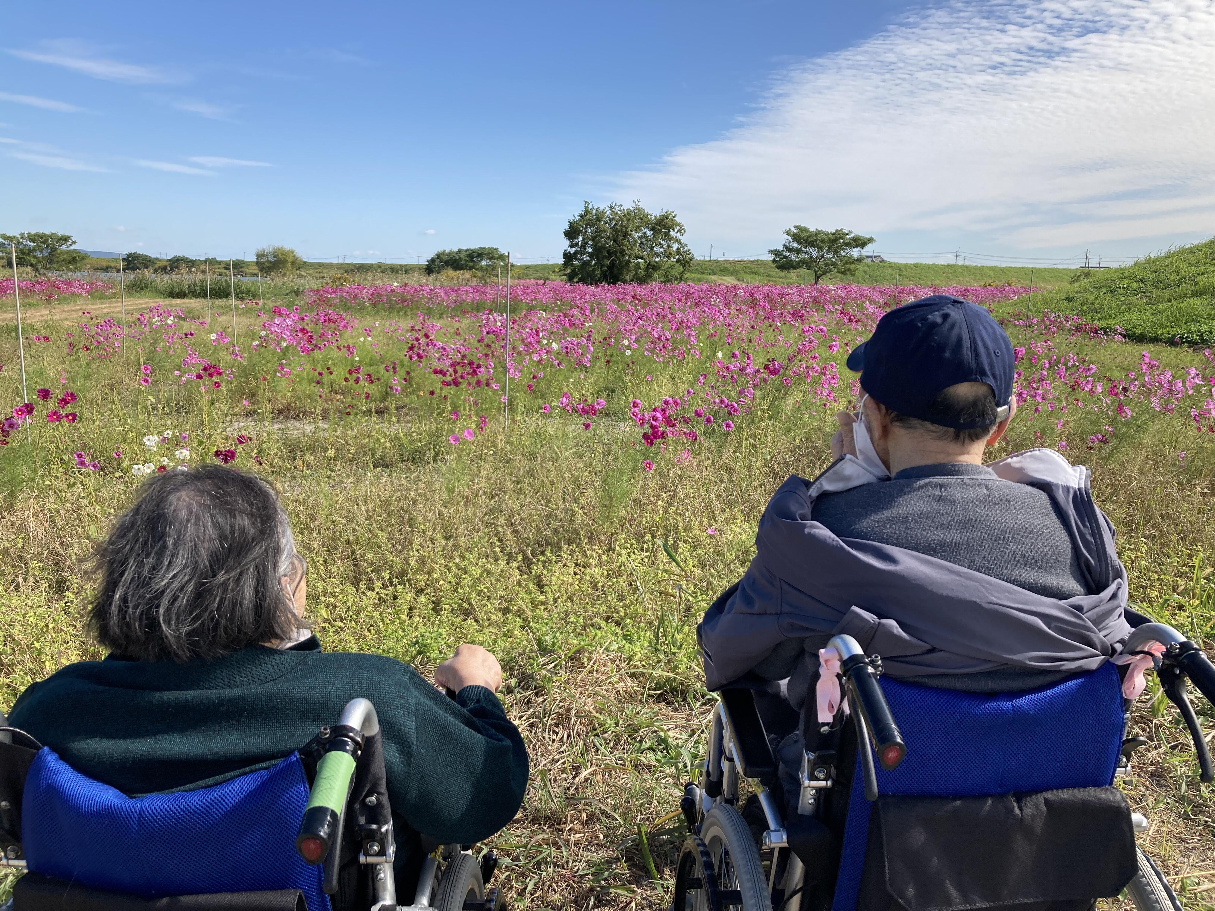 あきをさがしに・・・