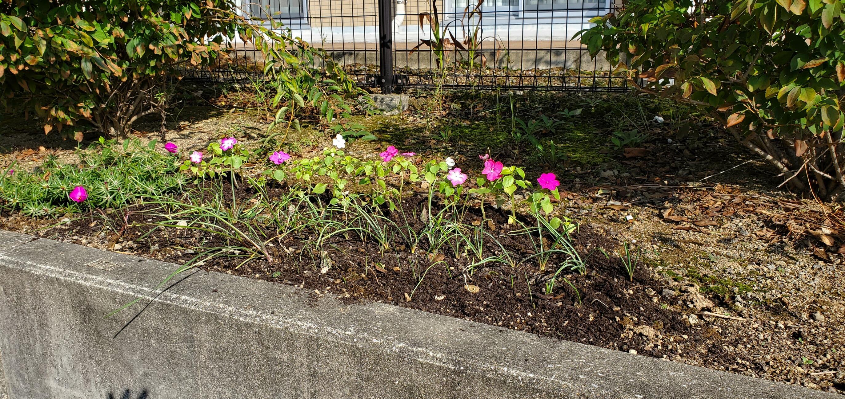 しあわせのおすそ分け