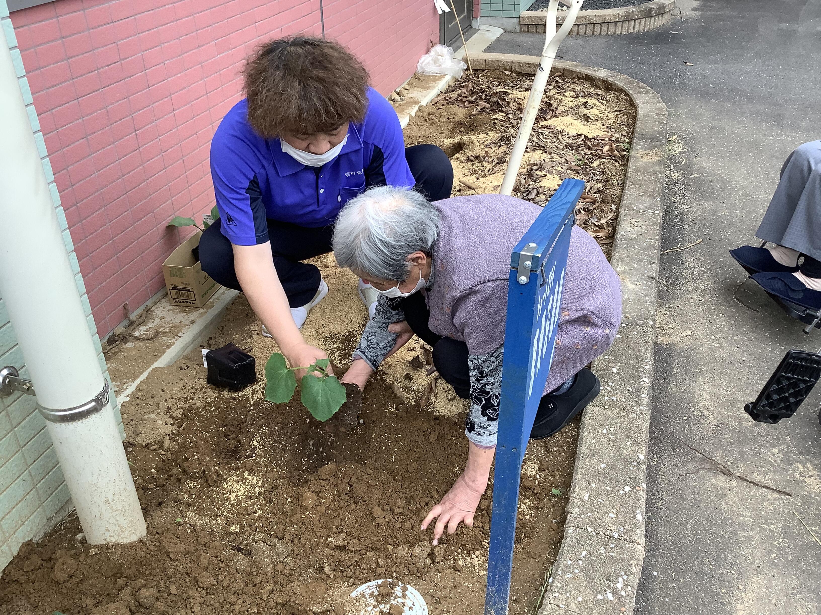 ショートステイ農園