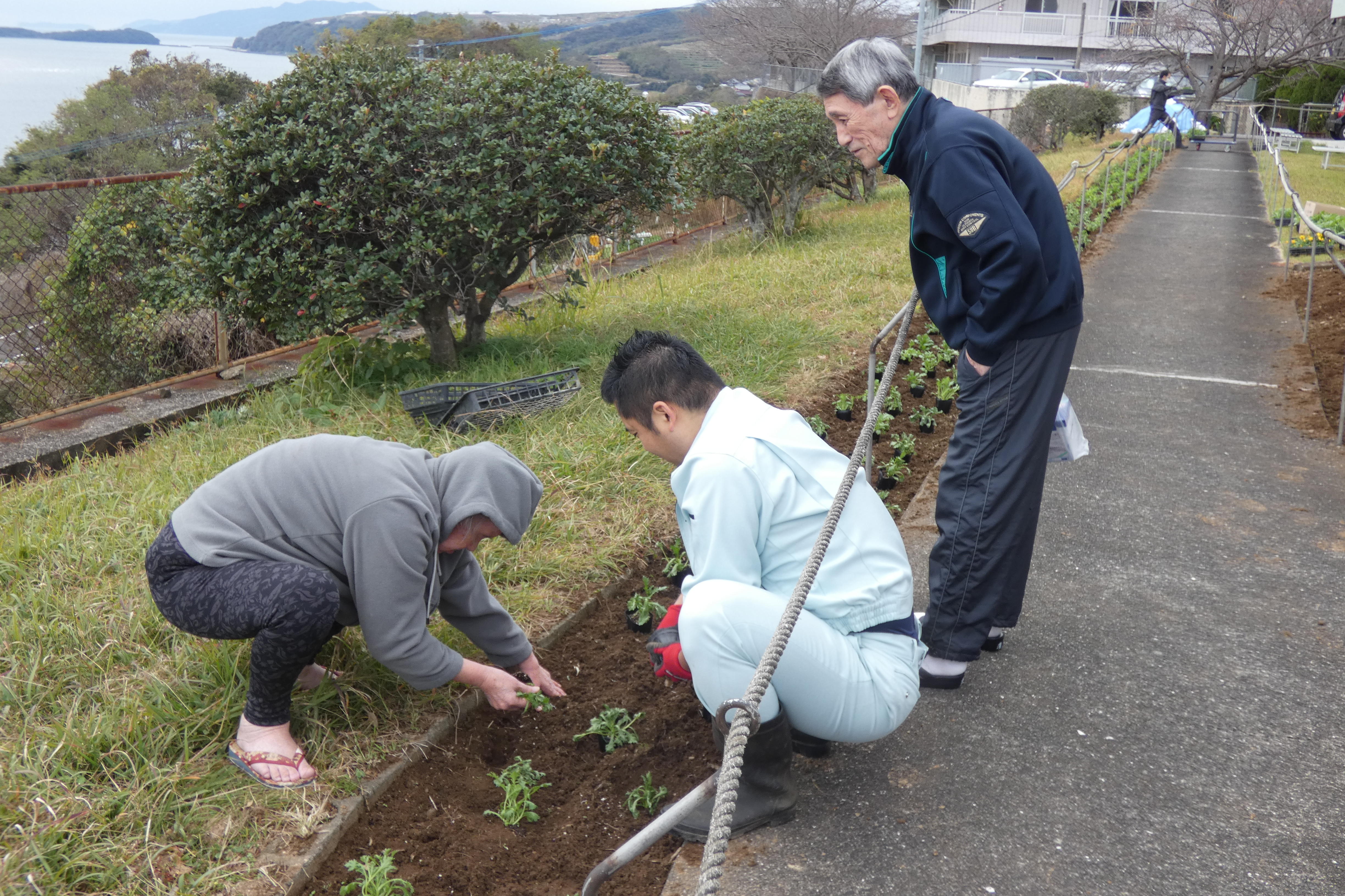 12月　お花植え