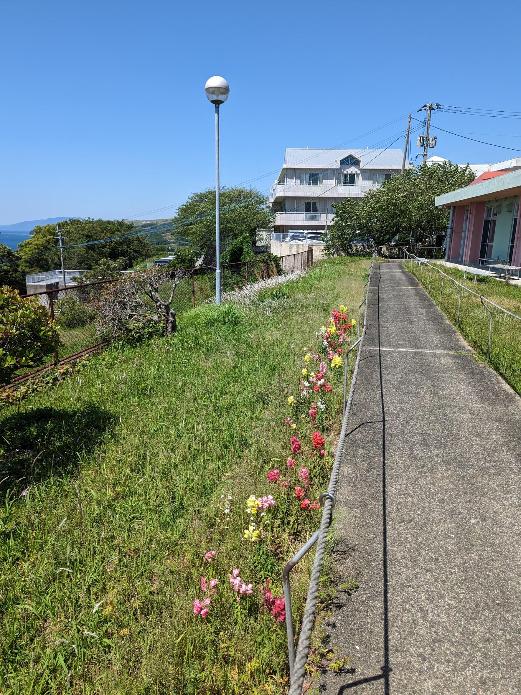 ５月９日（火）遊歩道の草刈り作業