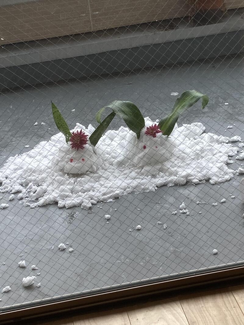 雪うさぎ続き(^^♪笑笑笑