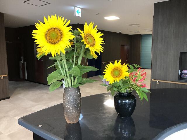 諫早ニュータウンの本日の花