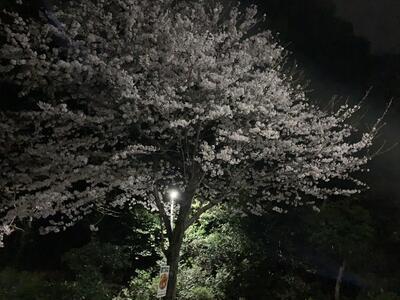 散歩☺笑☺パート２
