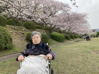 奏♪お花見に行って来ました