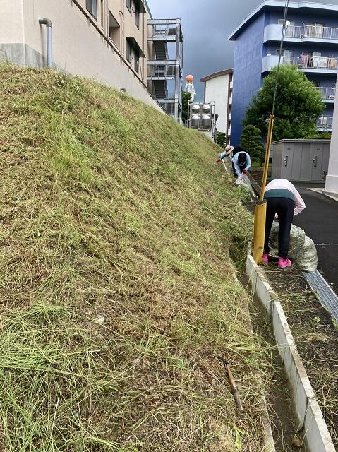 環境整備