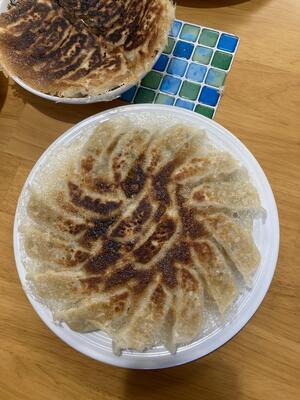 ２月の様子