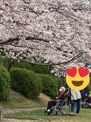 桜('◇')～笑～